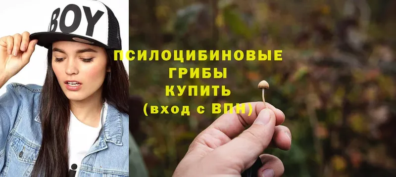 наркотики  Тулун  Псилоцибиновые грибы Magic Shrooms 